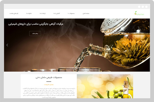 نمونه کارها